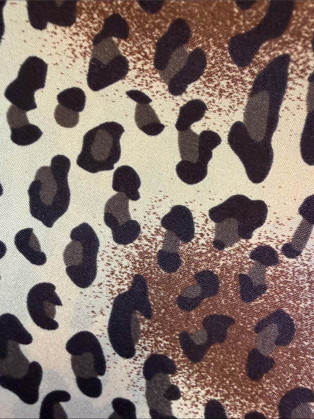 Leopard Print Scarf - Picture 14 of 16